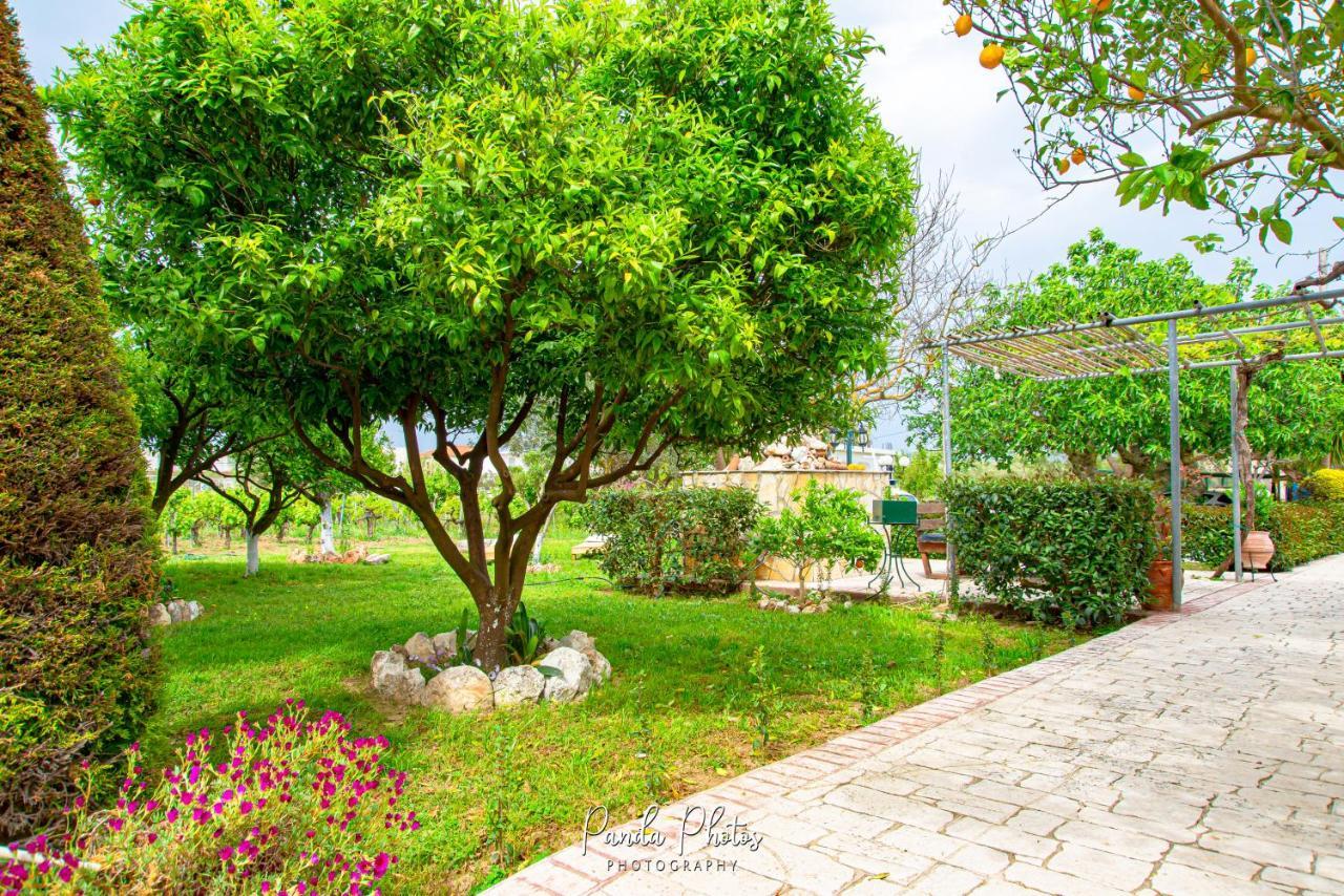 Apartament Zante Apts Laganas
