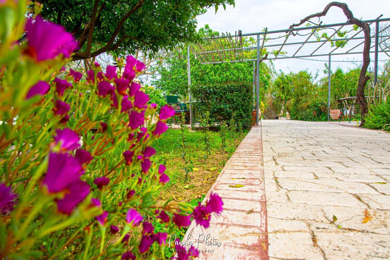 Zante Apts Laganas